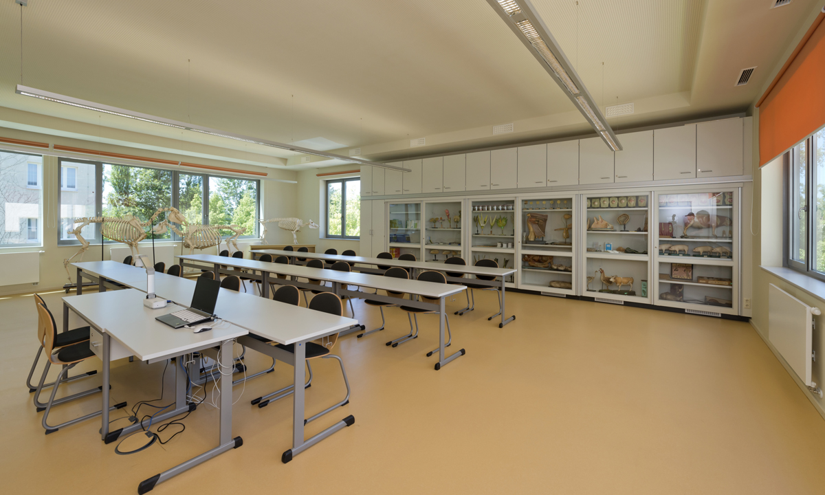 Juni Copyright Michael Miltzow 8924 opt.jpg